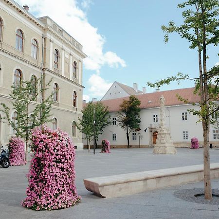 Bethlen Central Studio Cluj Napoca Bagian luar foto