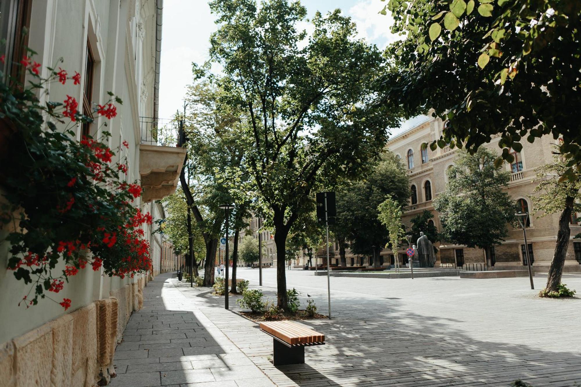 Bethlen Central Studio Cluj Napoca Bagian luar foto